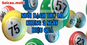 Nu&ocirc;i bạch thủ l&ocirc; khung 2 ng&agrave;y bất bại