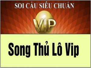 song thủ l&ocirc; l&agrave; g&igrave;